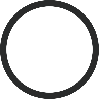 1× Magnetic Ring
